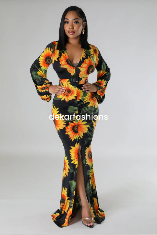 “Sunflower Tease”